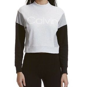 Calvin Klein Performance Colorblock Logo Sweatshirt Cropped Top